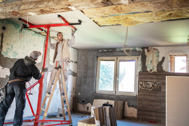 Best Cellulose Insulation in Mino Tassajara, CA