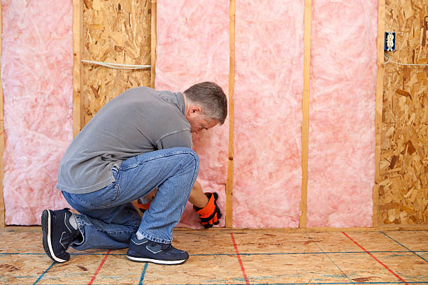 Best Insulation for Specific Applications in Mino Tassajara, CA
