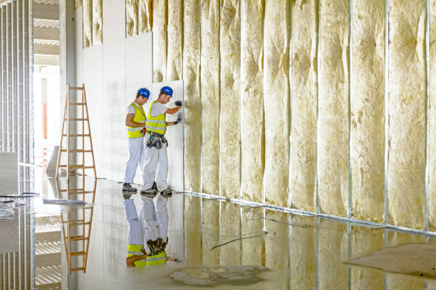 Professional Insulation Contractor in Camino Tassajara, CA